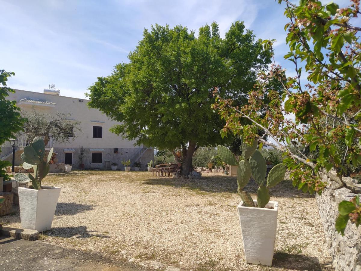 Da Gio - Casa Vacanze A Locorotondo Bagian luar foto
