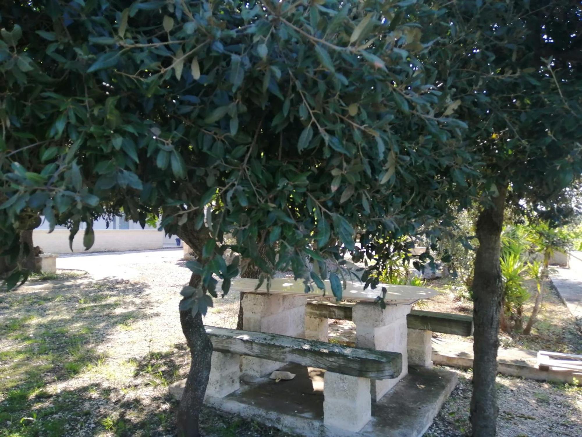 Da Gio - Casa Vacanze A Locorotondo Bagian luar foto