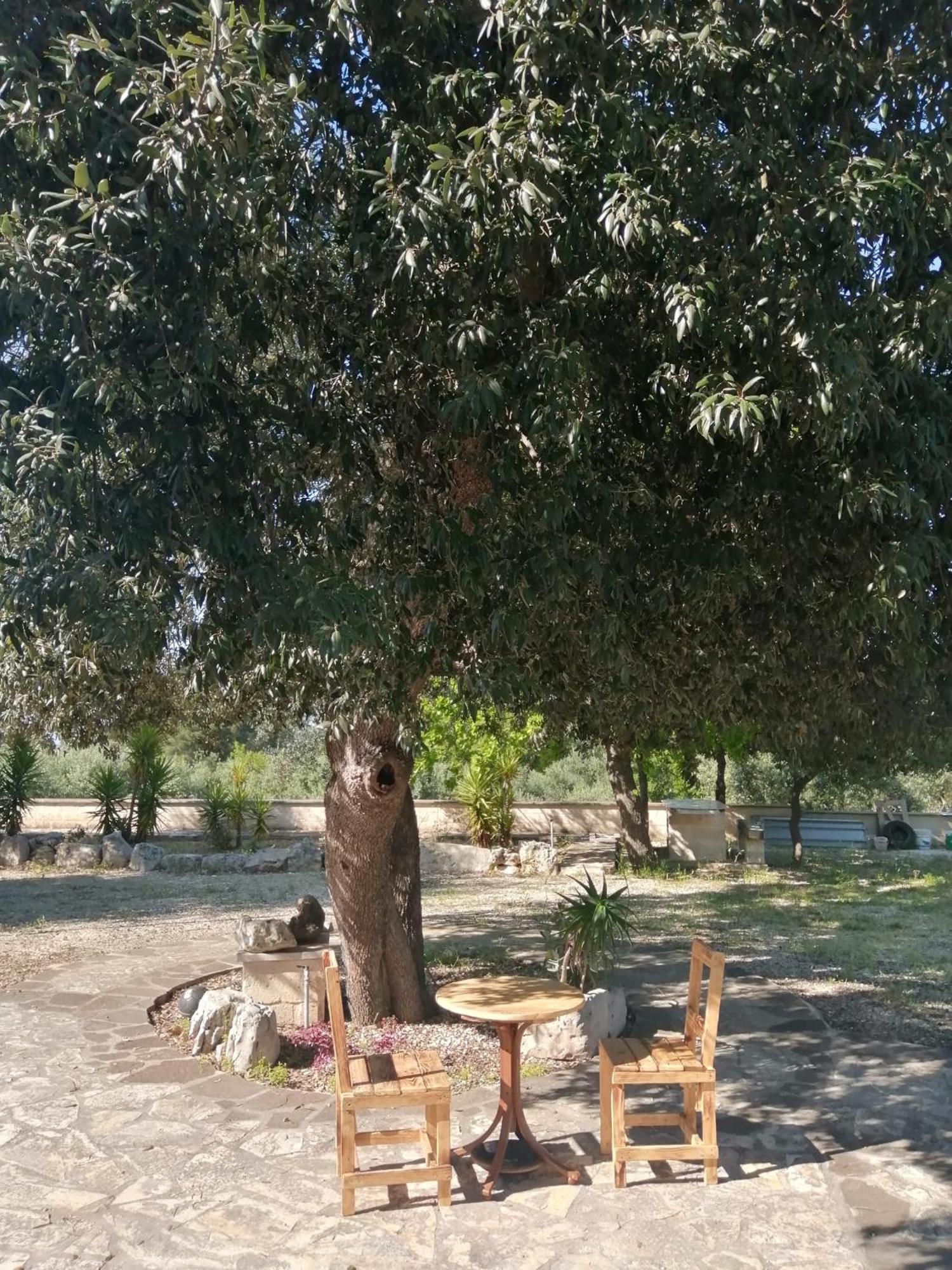 Da Gio - Casa Vacanze A Locorotondo Bagian luar foto